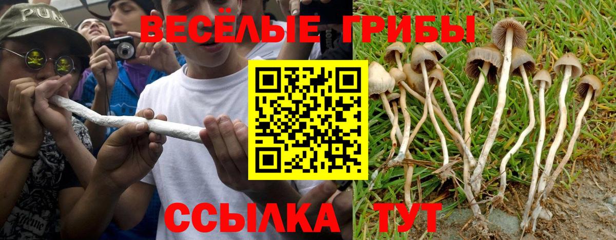 Псилоцибиновые грибы Magic Shrooms  Псилоцибиновые грибы мицелий  Вход с VPN  Менделеевск 
