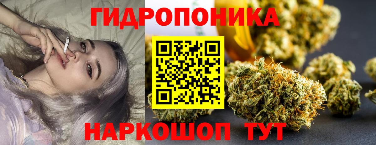 Каннабис сатива  Вход с VPN  Бошки марихуана конопля  Менделеевск 